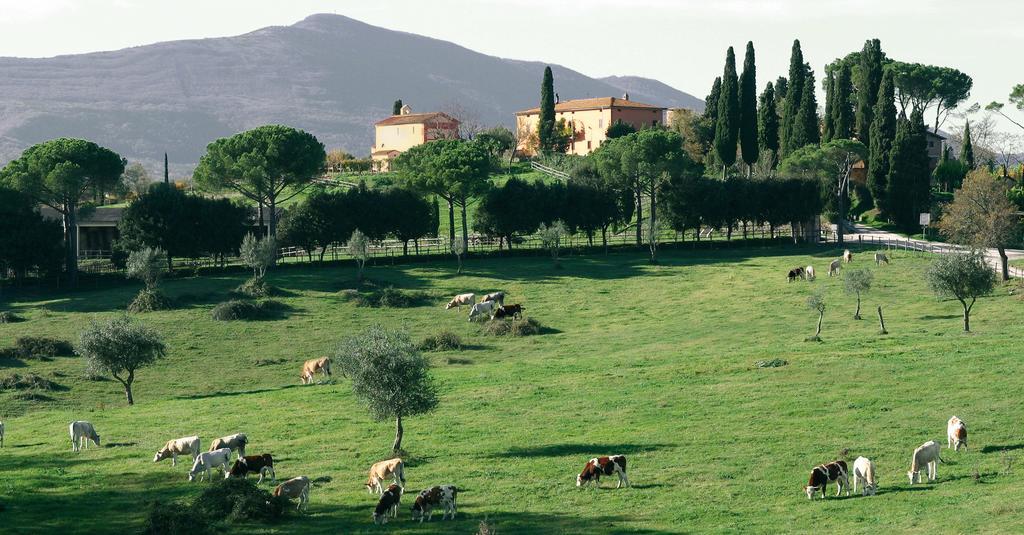 Poggiovalle Tenuta Italiana Belvedere  Luaran gambar